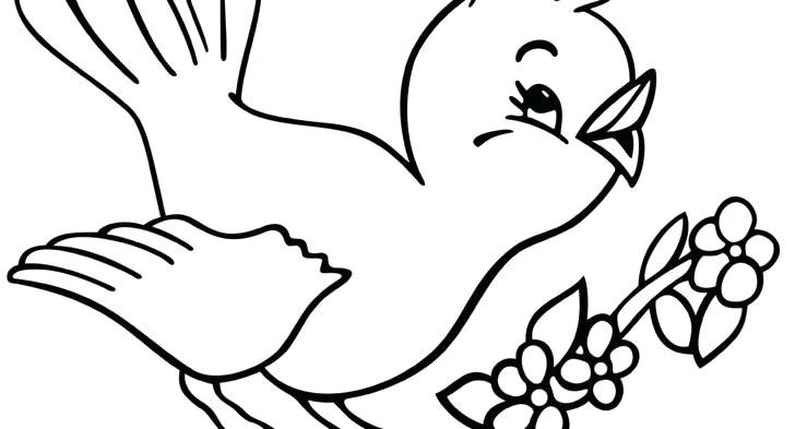 728x393 Coloring Pages Online Hard Flying Birds Falcon Bird Images About
