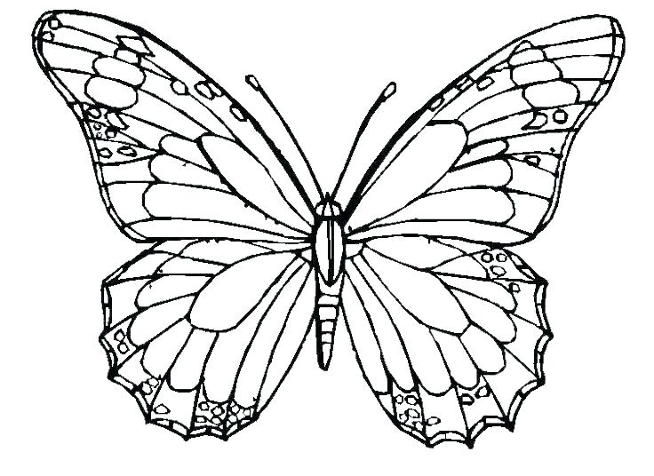 736x536 Colouring Pages Of Butterflies Butterfly Coloring Pics Butterfly