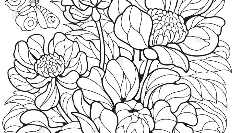 960x544 Free Printable Butterflies And Flowers Coloring Pages For Kids