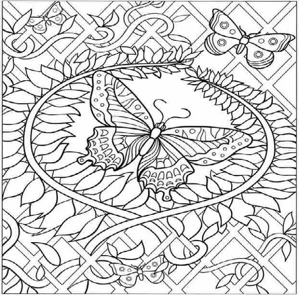 600x592 Hard Butterfly Coloring Pages Coloring Pages