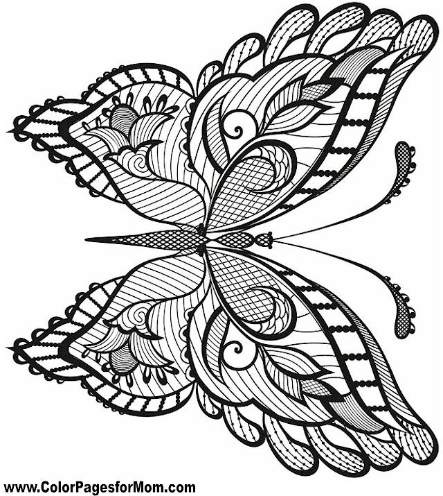 640x715 341 Best Coloring Book Butterfly Papillon Borboleta