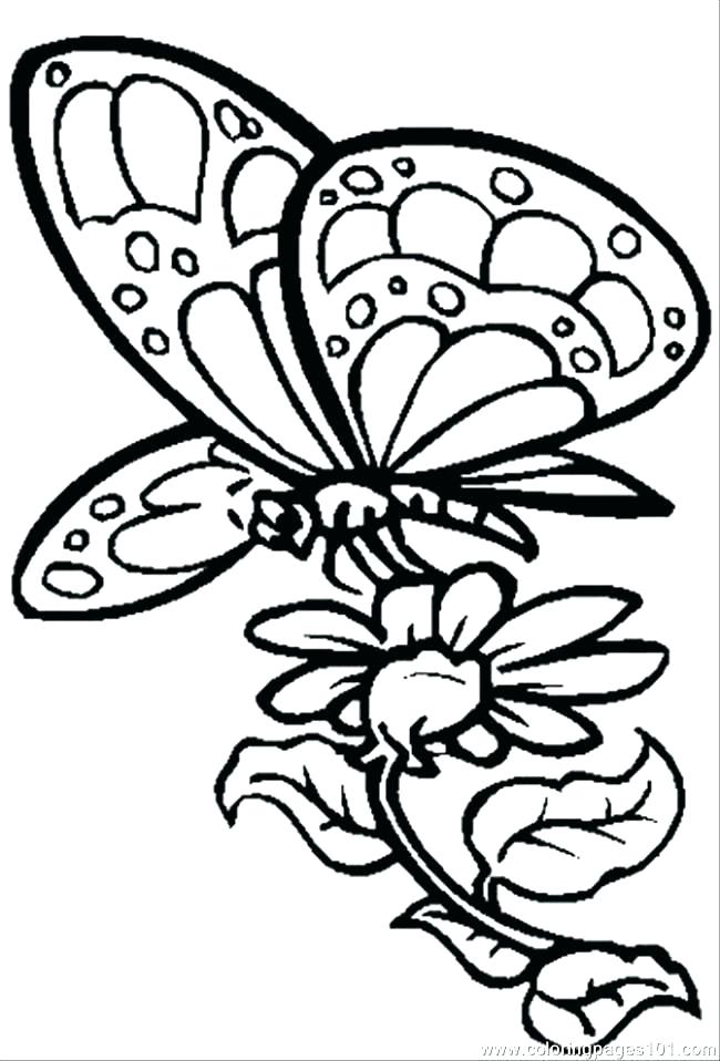 650x958 Coloring Pages Flowers And Butterflies