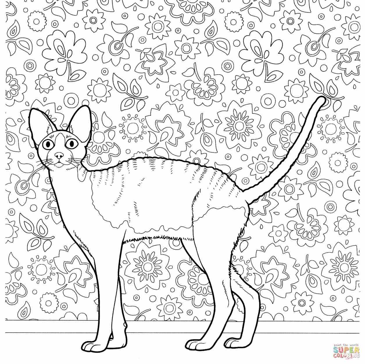 1256x1254 Hard Cat Coloring Pages Web Coloring Pages