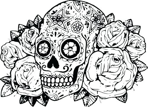 500x362 Hard Coloring Pages Printable Free Hard Animal Coloring Pages Hard