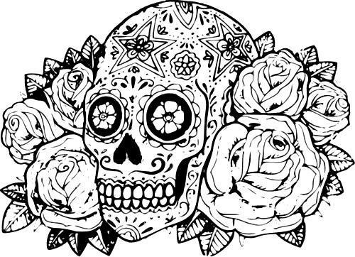 500x362 Classy Hard Coloring Pages For Adults Of Animals Flowers Dragons