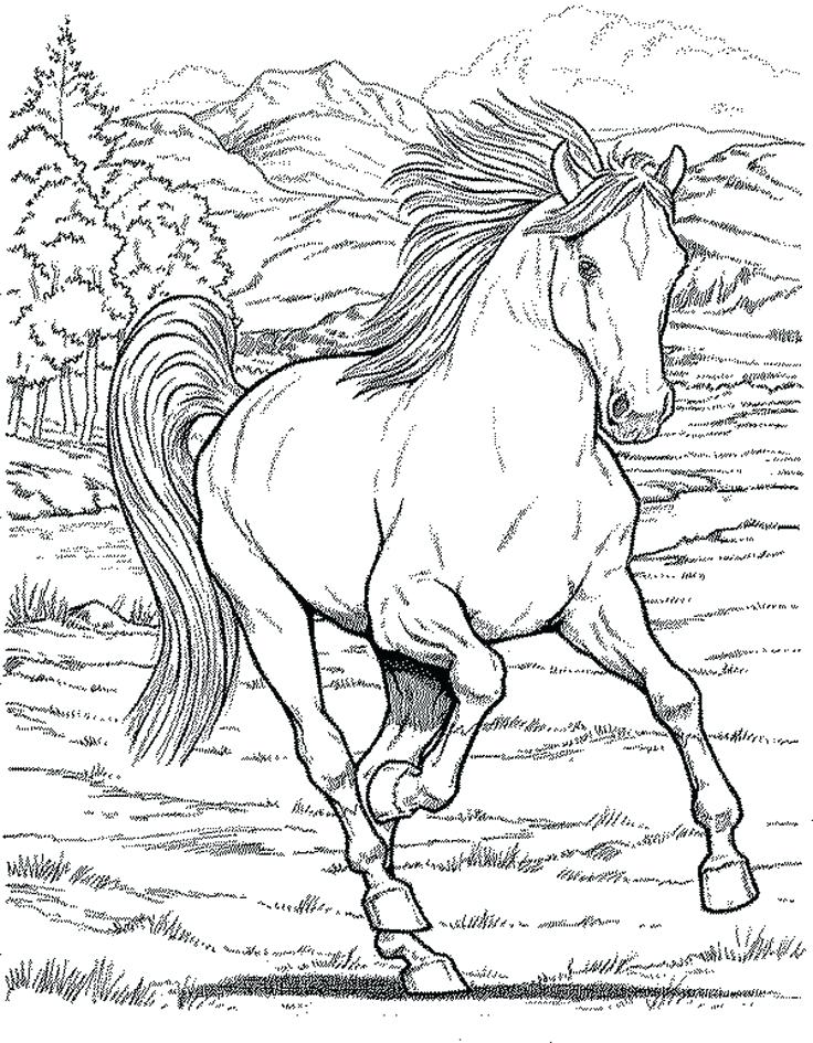 736x945 Printable Hard Coloring Pages Free Coloring Pages For Adults