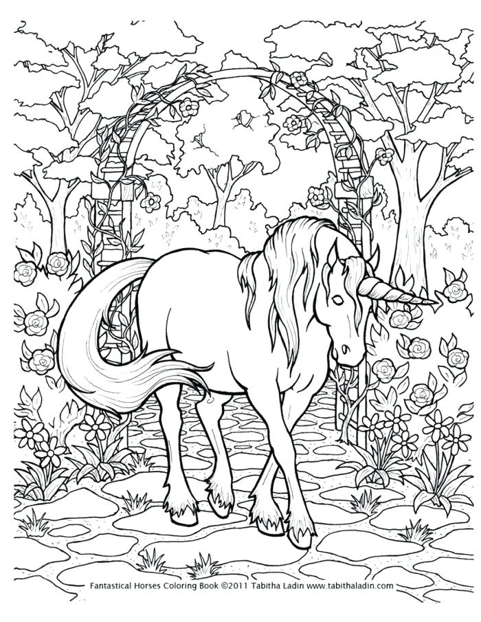 700x905 Horse Coloring Pages Hard