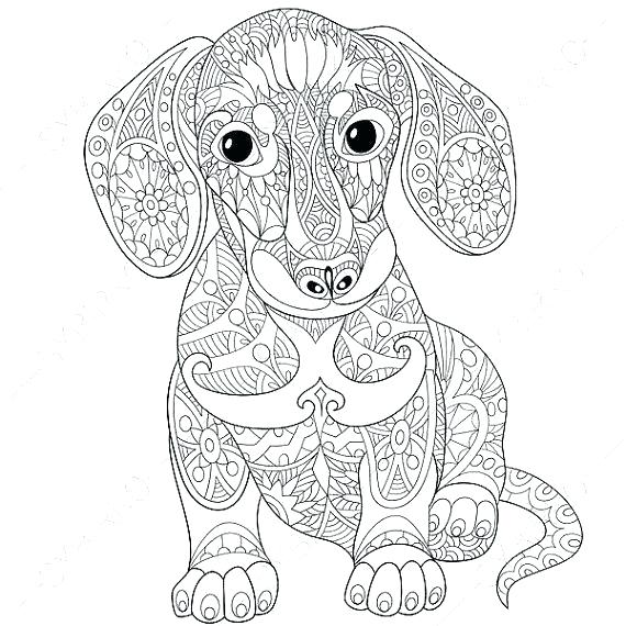 570x570 Animal Coloring Pages For Adults Difficult Coloring Pages Animals