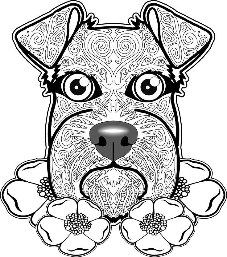 736x836 13 Best Free Adult Coloring Pages Images On Coloring
