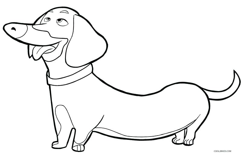 800x512 Dog Coloring Pages Cute Printable Hard