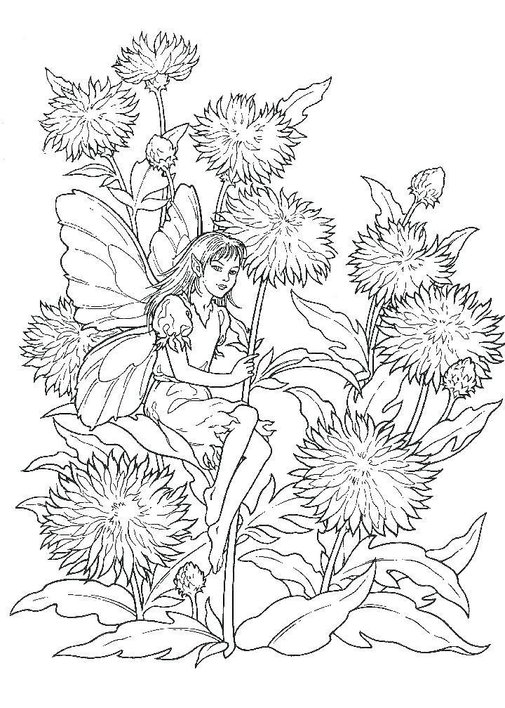720x1008 Fairy Coloring Books