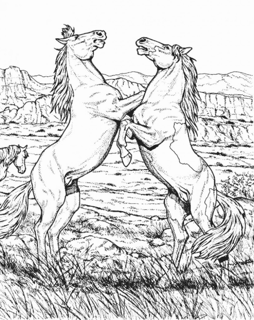 813x1024 Hard Coloring Pages Of Animals