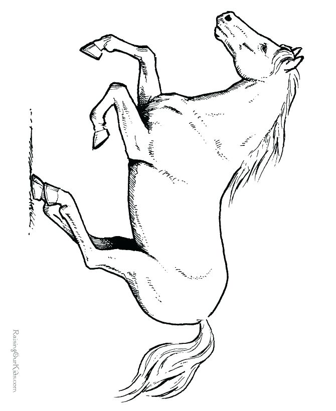670x820 Kids Coloring Pages Horses Coloring Pages Animals Hard