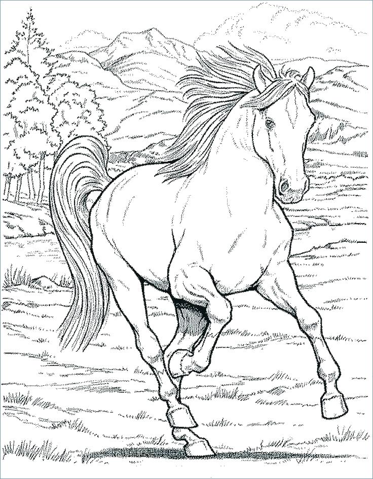 736x945 Coloring Pages For Kids Animals Horse Advanced Hard Animal
