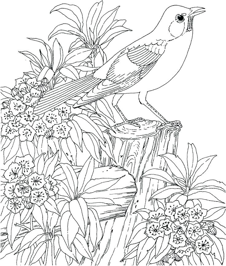 736x866 Hard Coloring Page Hard Coloring Page Hard Coloring Pages Online