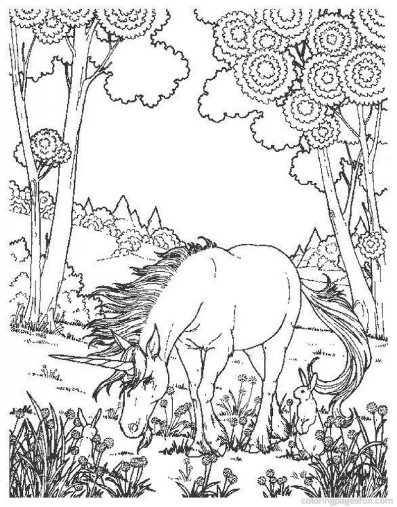 802x1024 Difficult And Hard Coloring Page Of Realistic Unicorn Fantasy Hard