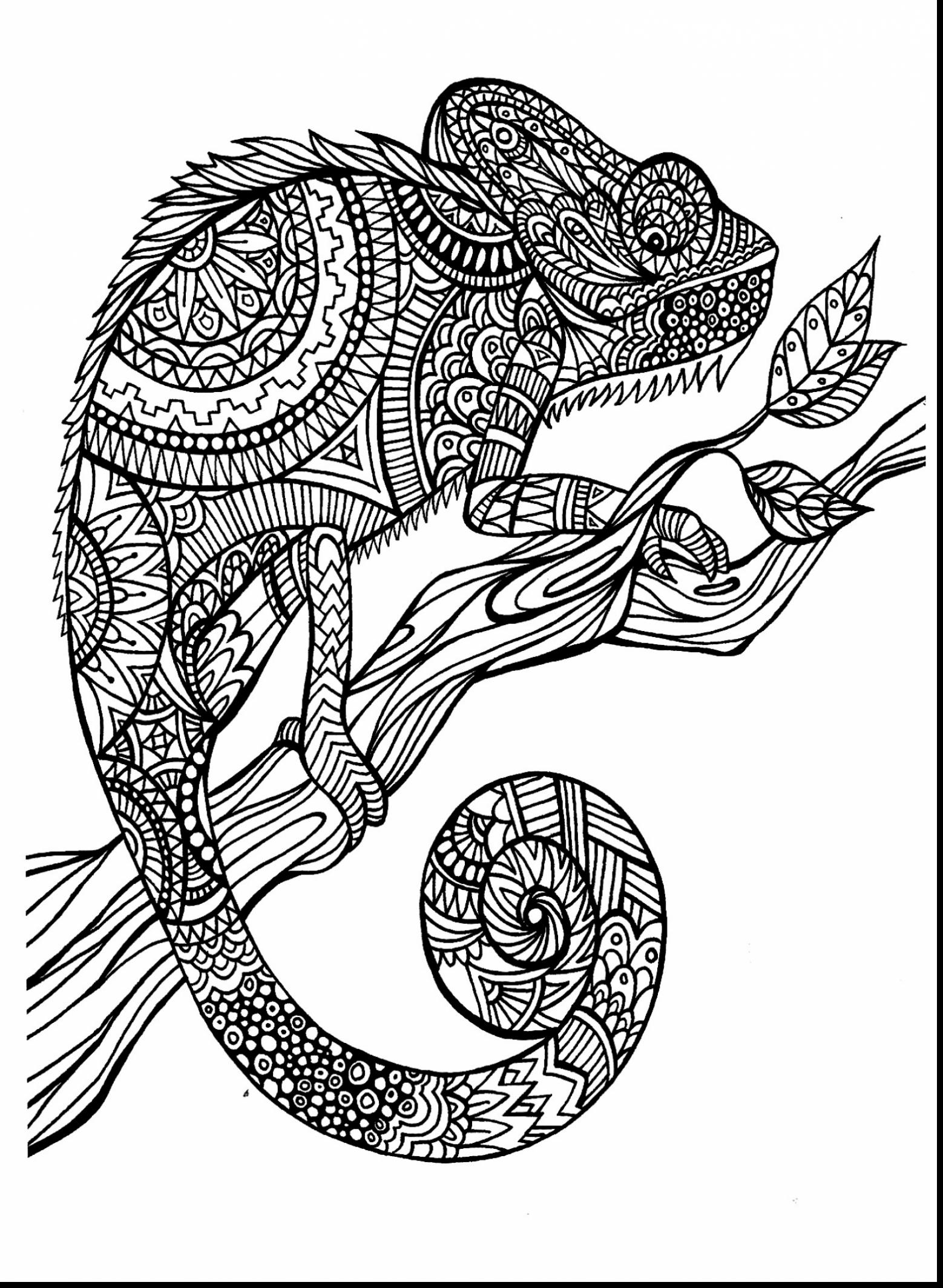 1558x2129 Lovely Decoration Coloring Book Pages For Adults Hard Animal