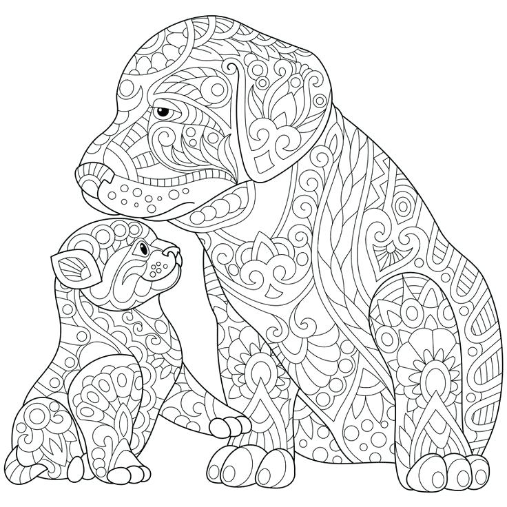 736x736 Cat And Dog Coloring Pages Coloring Pages Of A Cat Dog And Cat