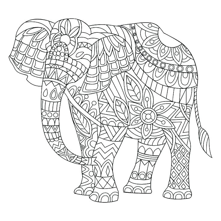 736x736 Coloring Pages Of Elephants In Addition To Elephant Coloring Pages