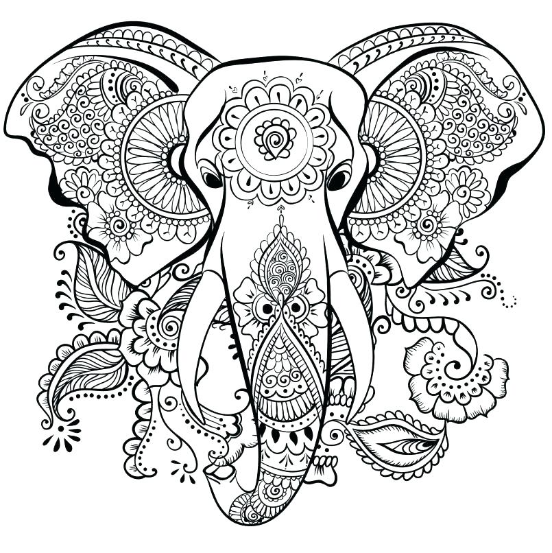 805x806 Elephant Coloring Pages Elephant Coloring Pages Coloring Pages