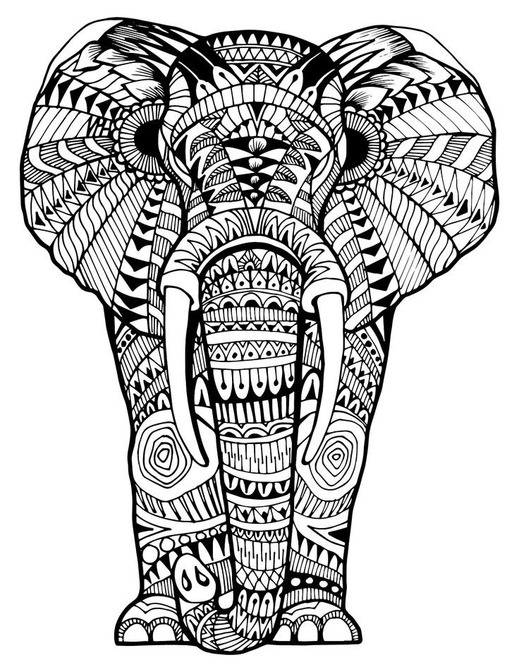 736x952 324 Best Colouring~elephants~zentangles Images