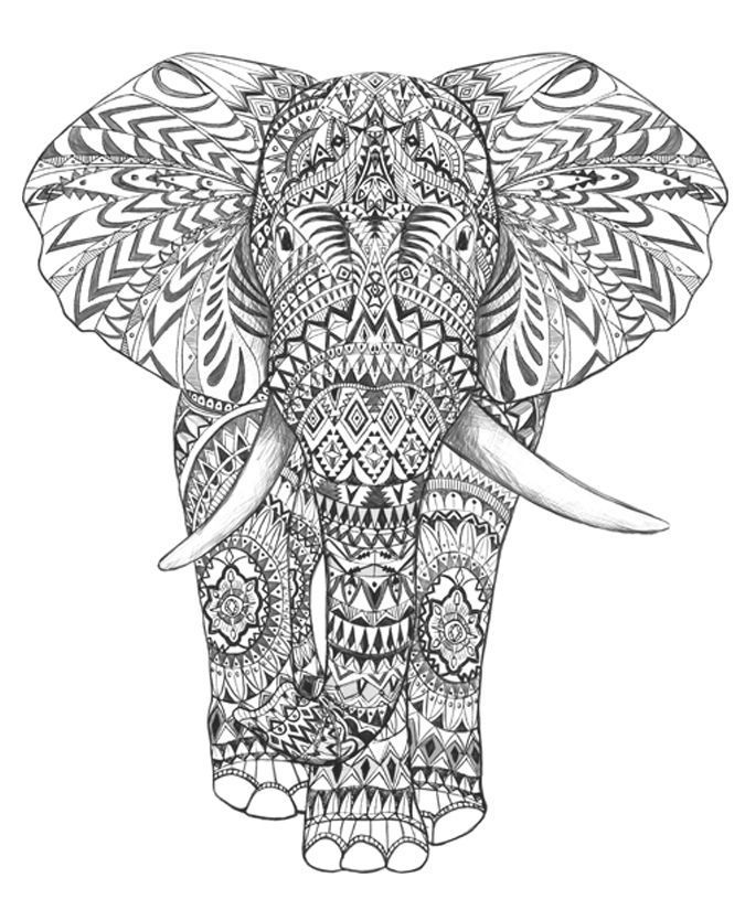 675x825 Coloring Pages For Adults Difficult Elephants