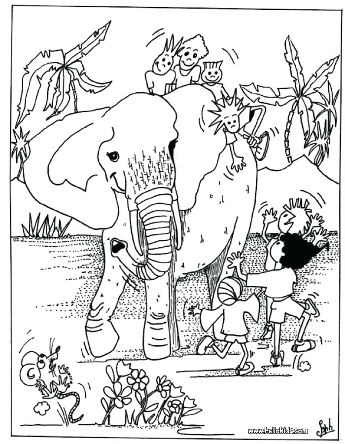 700x900 African Elephant Coloring Page Kids Hard Coloring Pages