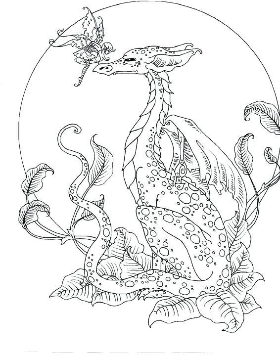 566x718 Fairy Coloring Book For Adults With Fairy Color Drawn Fairy Dragon