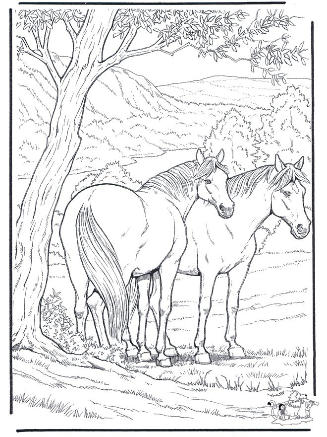 660x880 Coloring Pages Of Horses Hard Best 25 Horse Coloring Pages Ideas