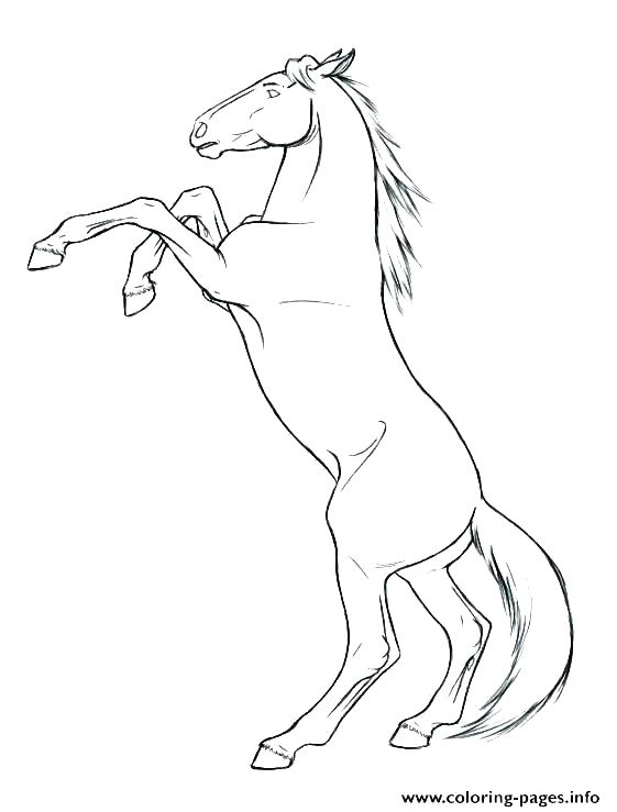 561x739 Anime Coloring Pages Free Anime Coloring Page Hard Animal Anime