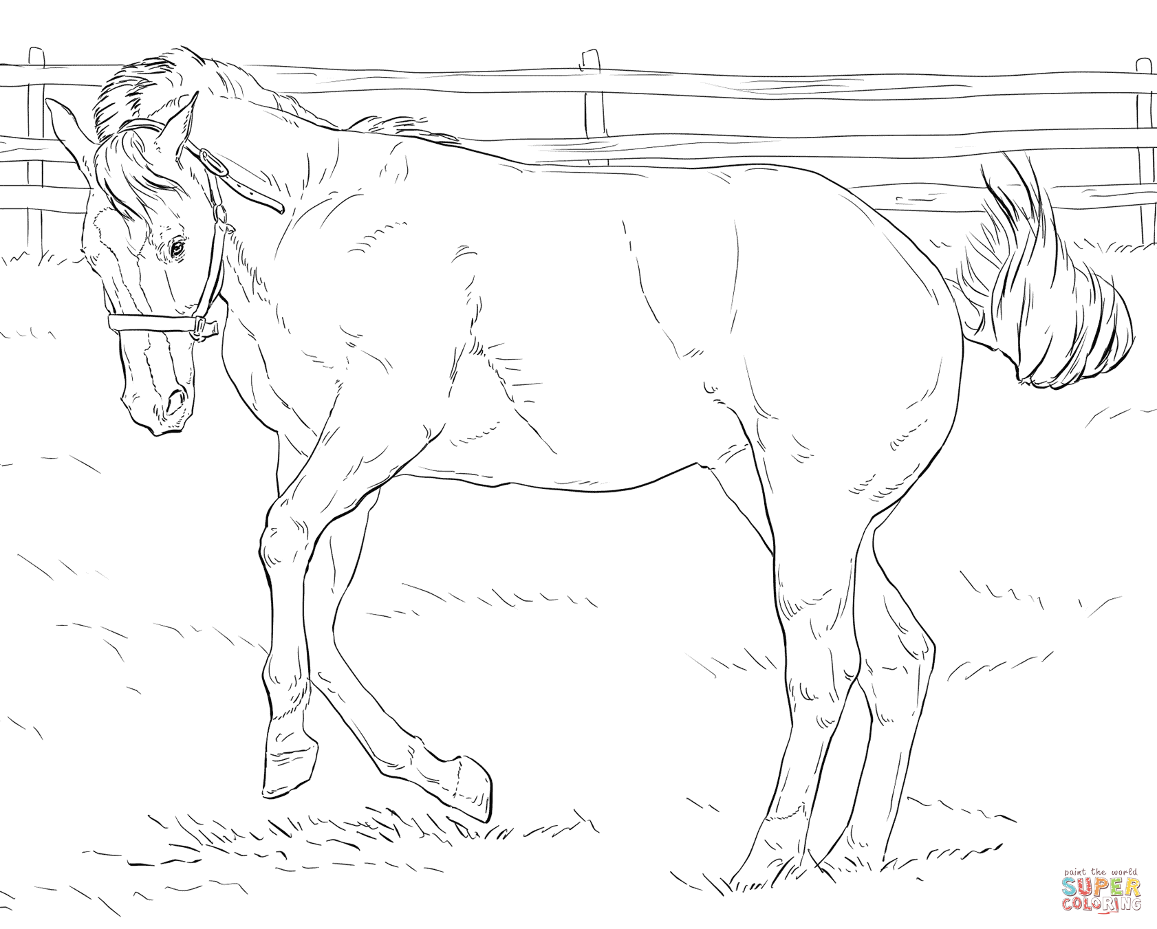 1682x1351 Realistic Horse Coloring Pages 13