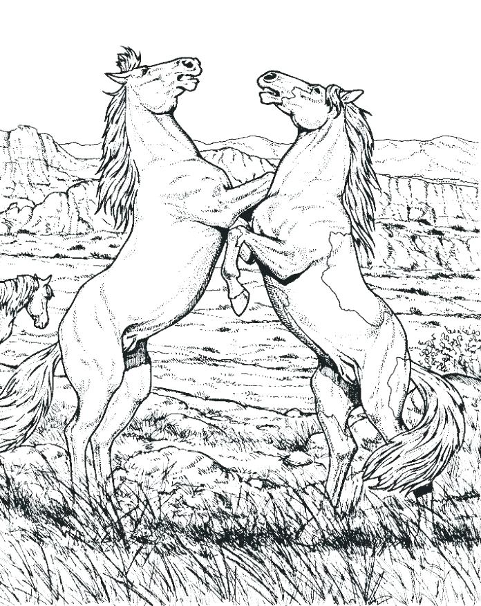 696x876 Horse Coloring Pages Hard