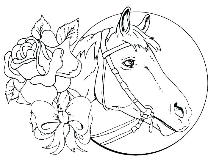 736x552 Horse Pages To Color