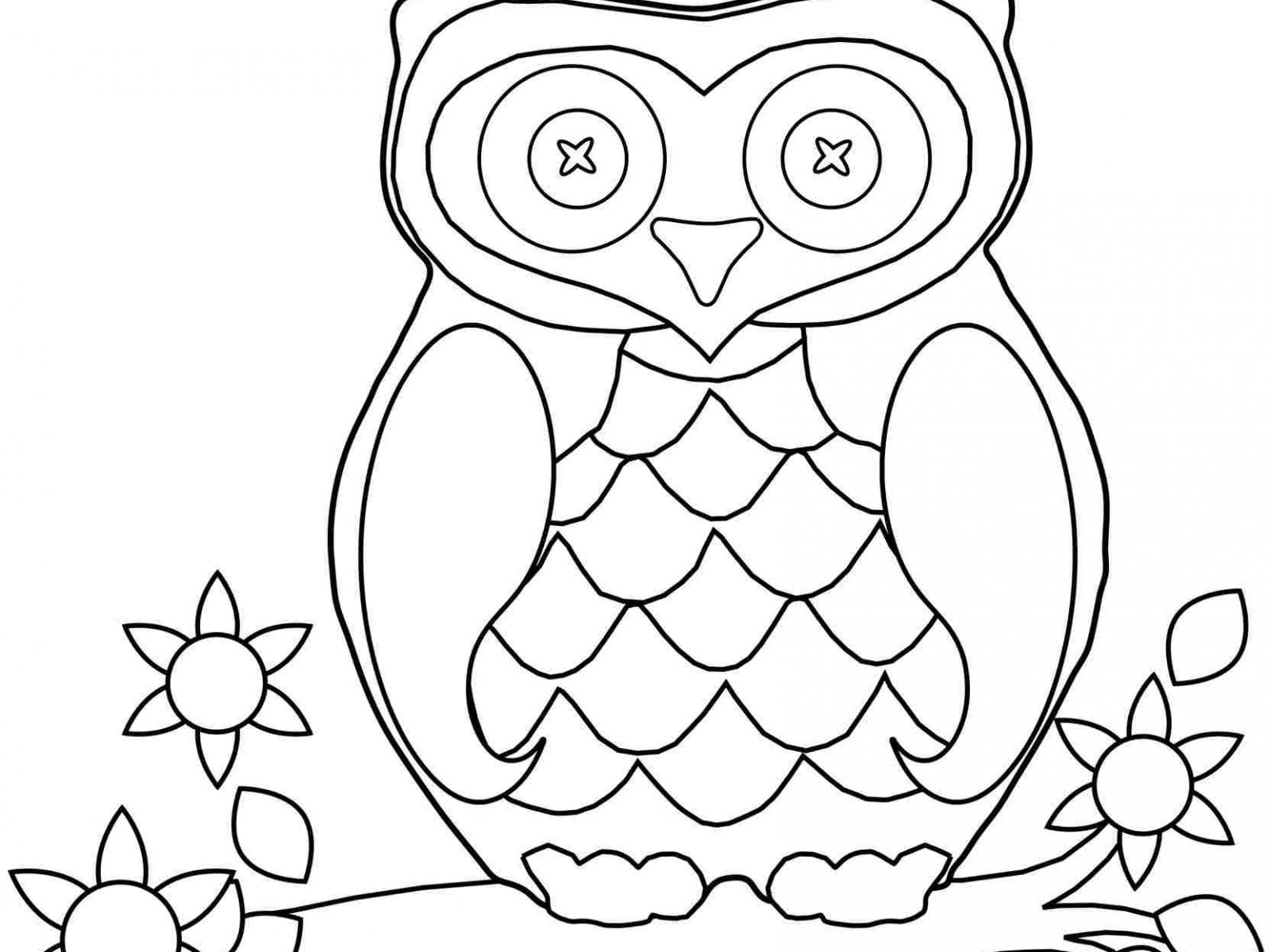 1600x1200 Free Owl Coloring Pages To Print