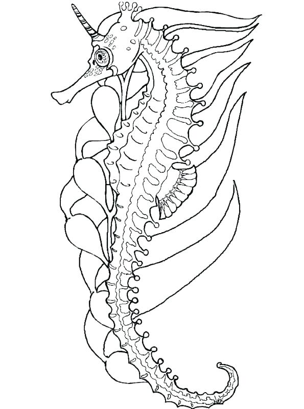595x800 Challenging Coloring Pages Difficult Hard Thanksgiving Coloring