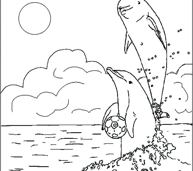 678x600 Free Printable Hard Coloring Pages For Adults Page To Color Kids