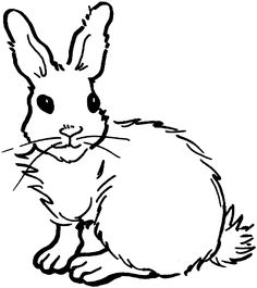 236x265 Bunny Coloring Pages Rabbit, Bunny And Embroidery