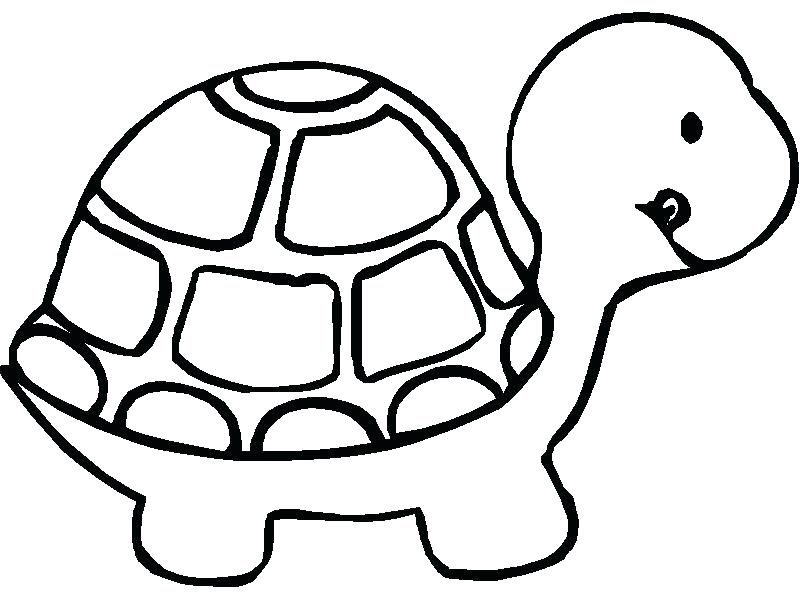 800x600 Hare Tortoise Coloring Pages