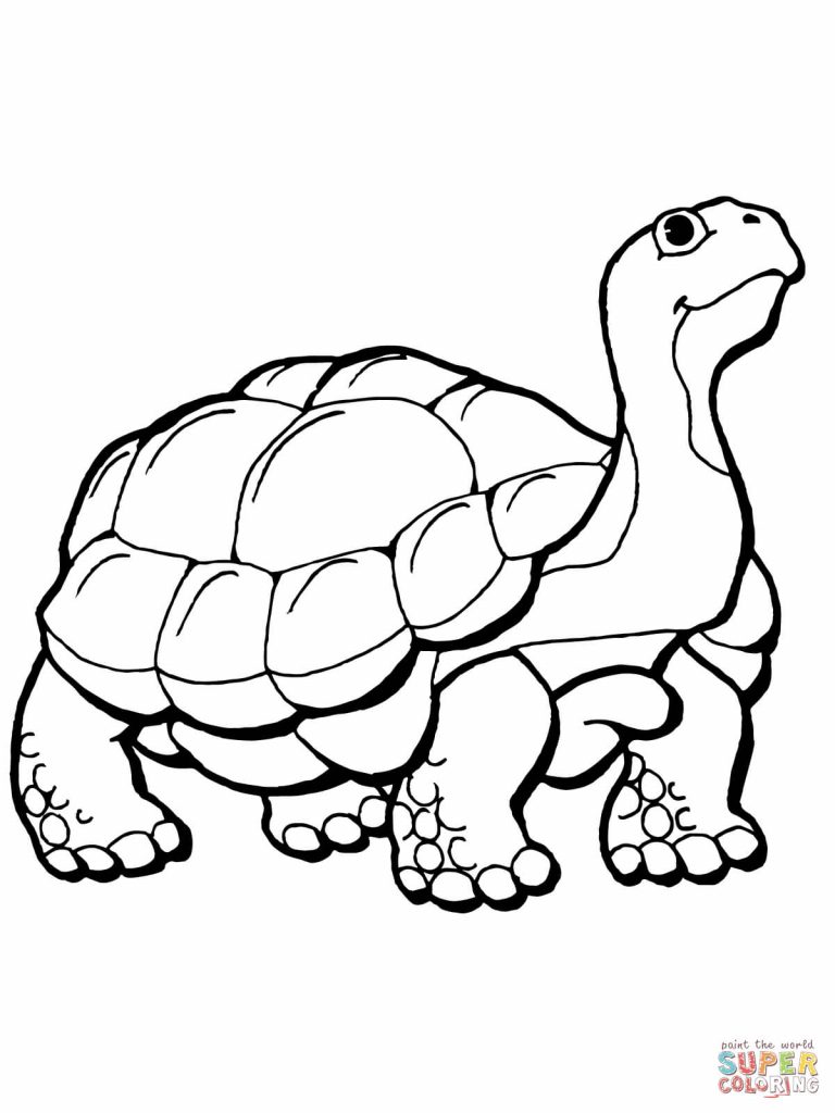 768x1024 Rare Hare Tortoise Coloring Pages Page 10973