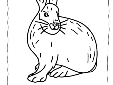 440x330 Arctic Hare Coloring Page Az Coloring Pages, Arctic Hare Coloring