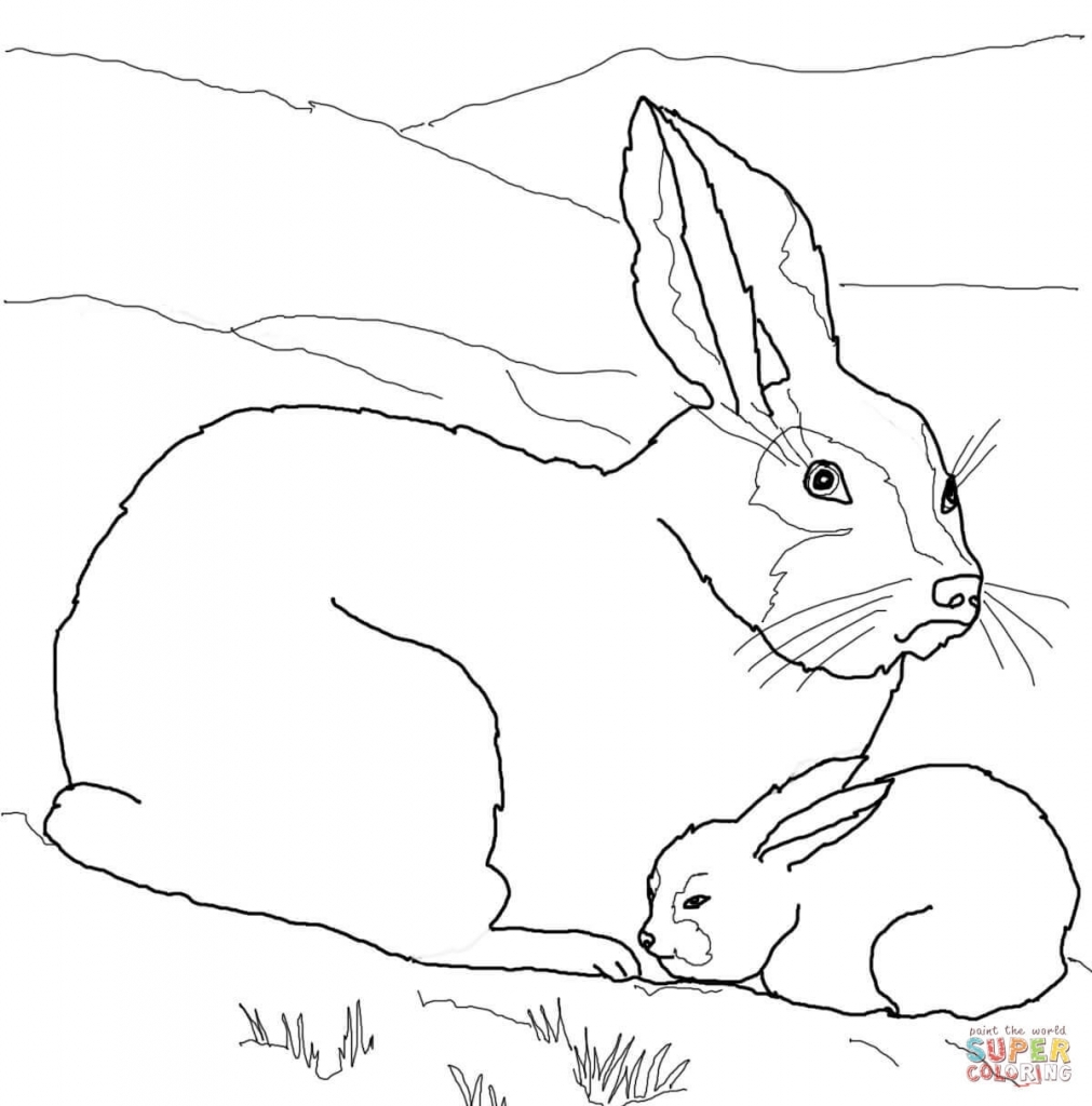 1011x1024 Arctic Hare Coloring Pages Printable Coloring For Kids 2018
