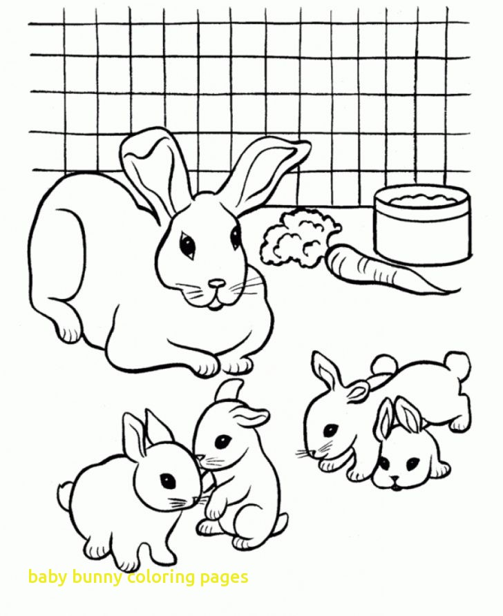 728x892 Baby Rabbit Coloring Pages