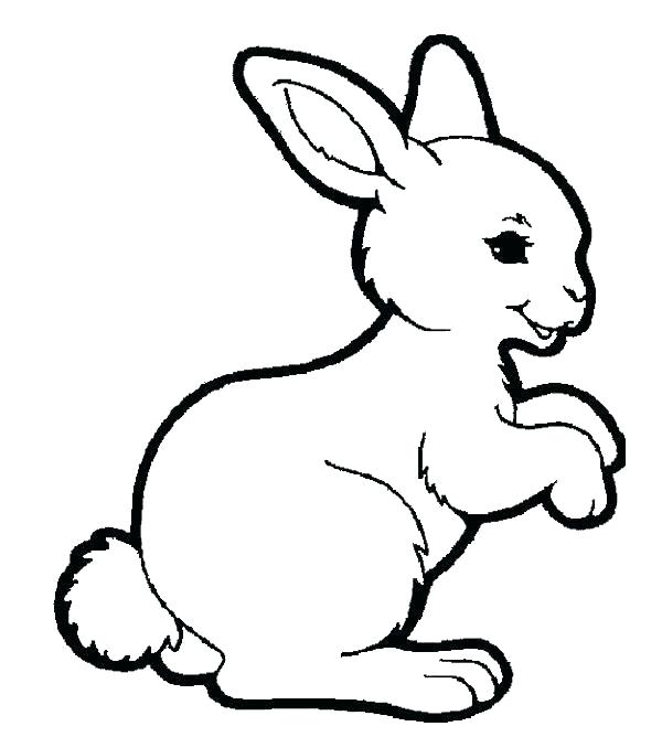 600x668 Bunny Rabbit Coloring Pages 6