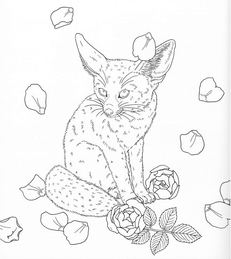 Harmony Coloring Pages