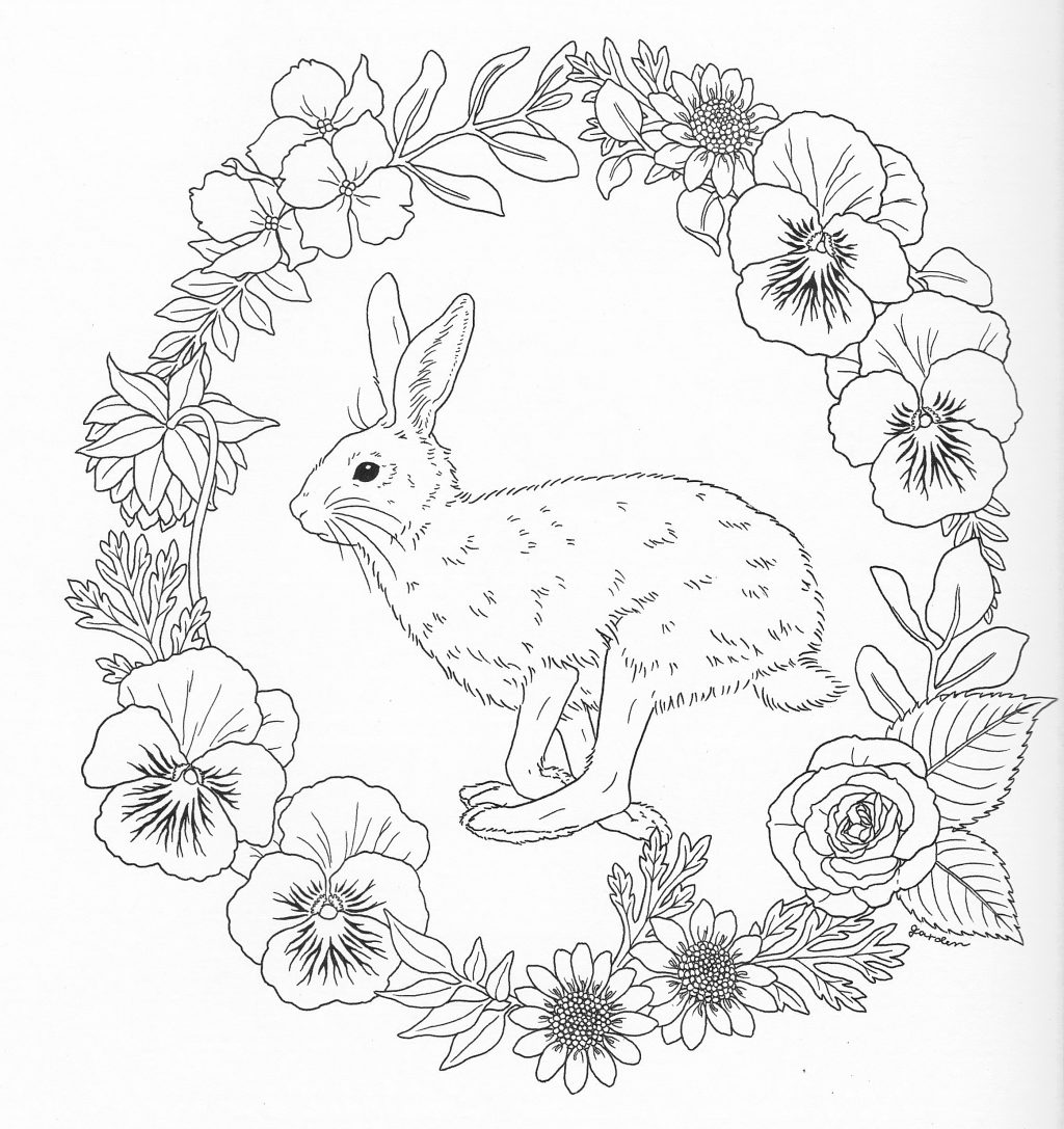 1024x1087 Coloring Book Splendi Harmony Of Nature Coloring Book Picture