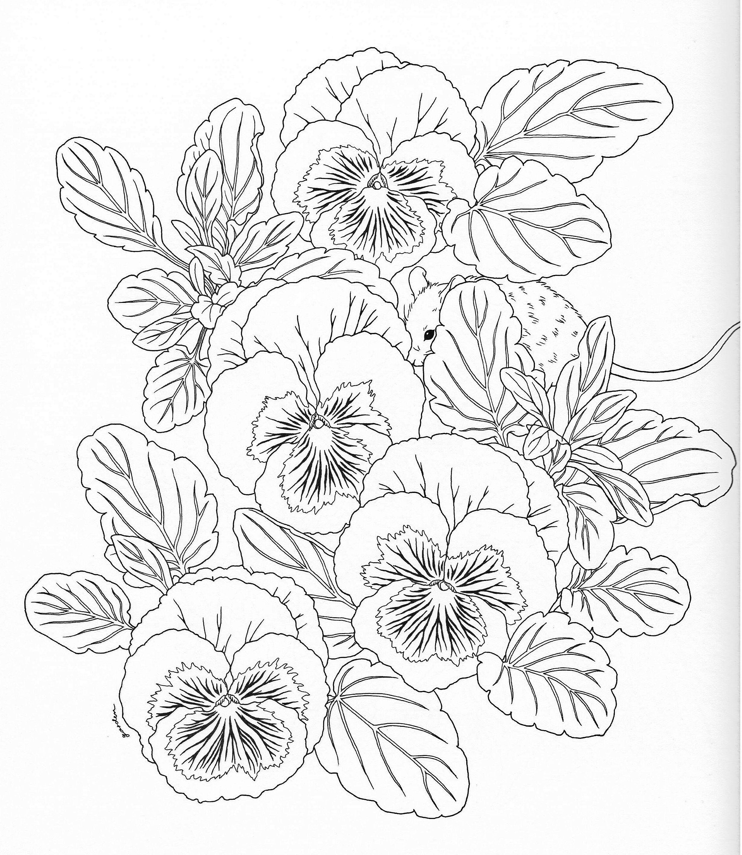 2473x2848 Harmony Of Nature Adult Coloring Book Pg 11 Color Pages