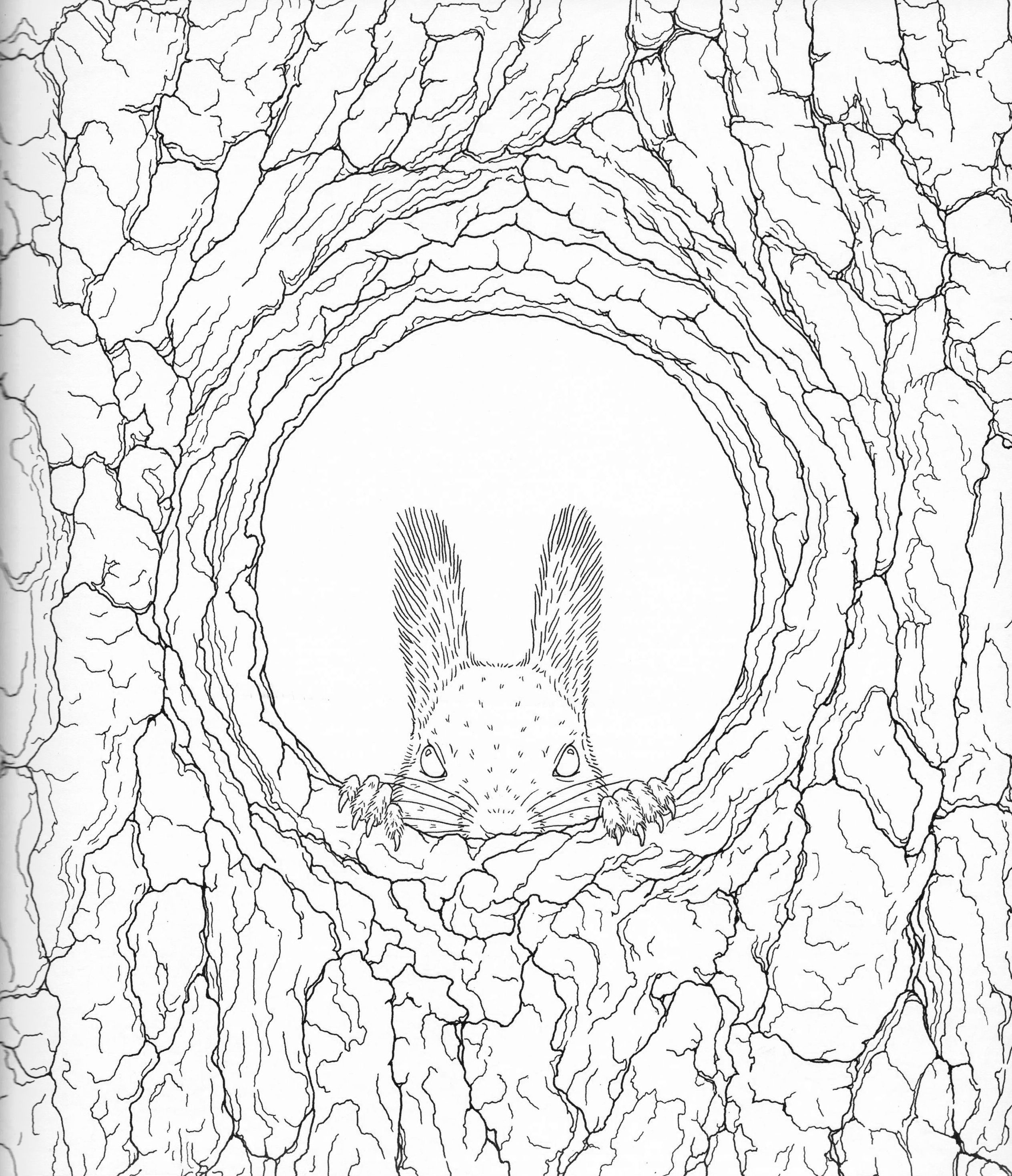 2528x2937 Harmony Of Nature Adult Coloring Book Pg 18 Color Pages