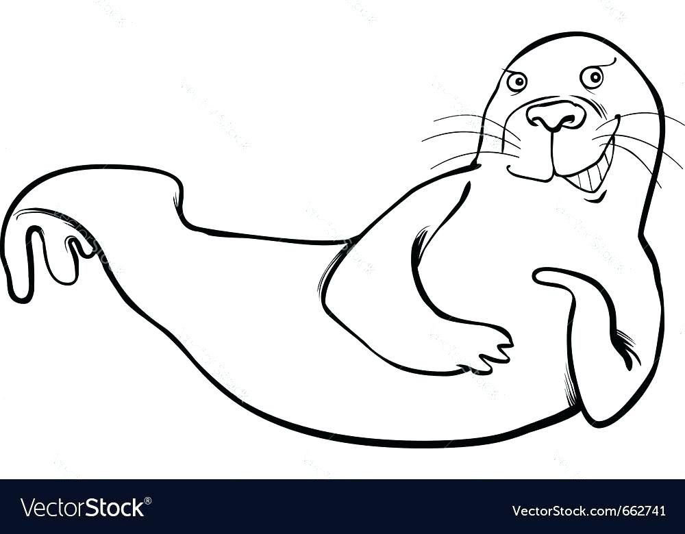 1000x780 Harp Coloring Page Seal Coloring Page Funny Seal Coloring Page