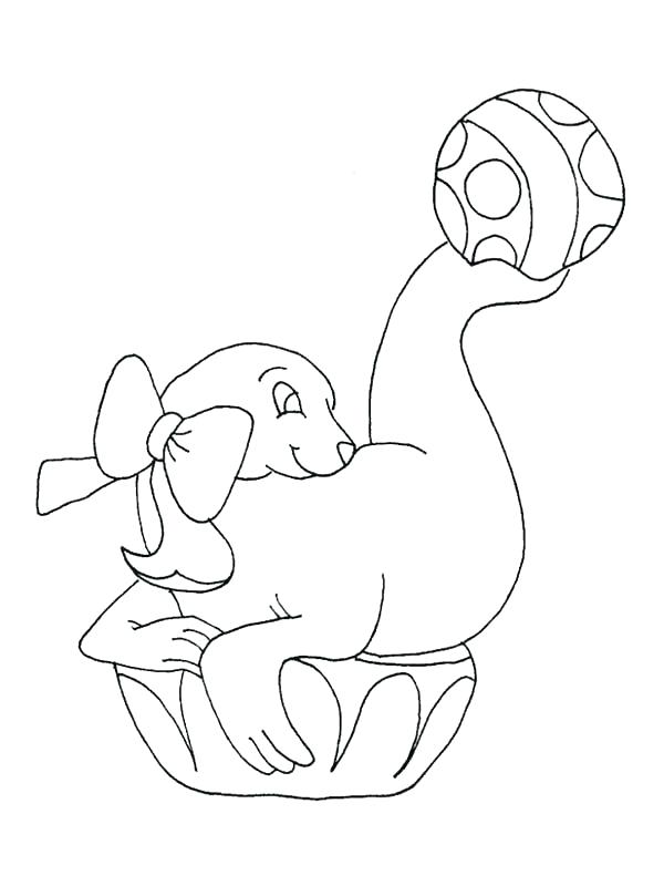 Harp Seal Coloring Page