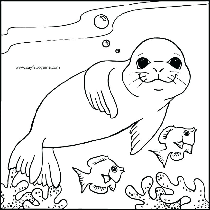863x863 Florida State Symbols Coloring Pages State Coloring Pages State